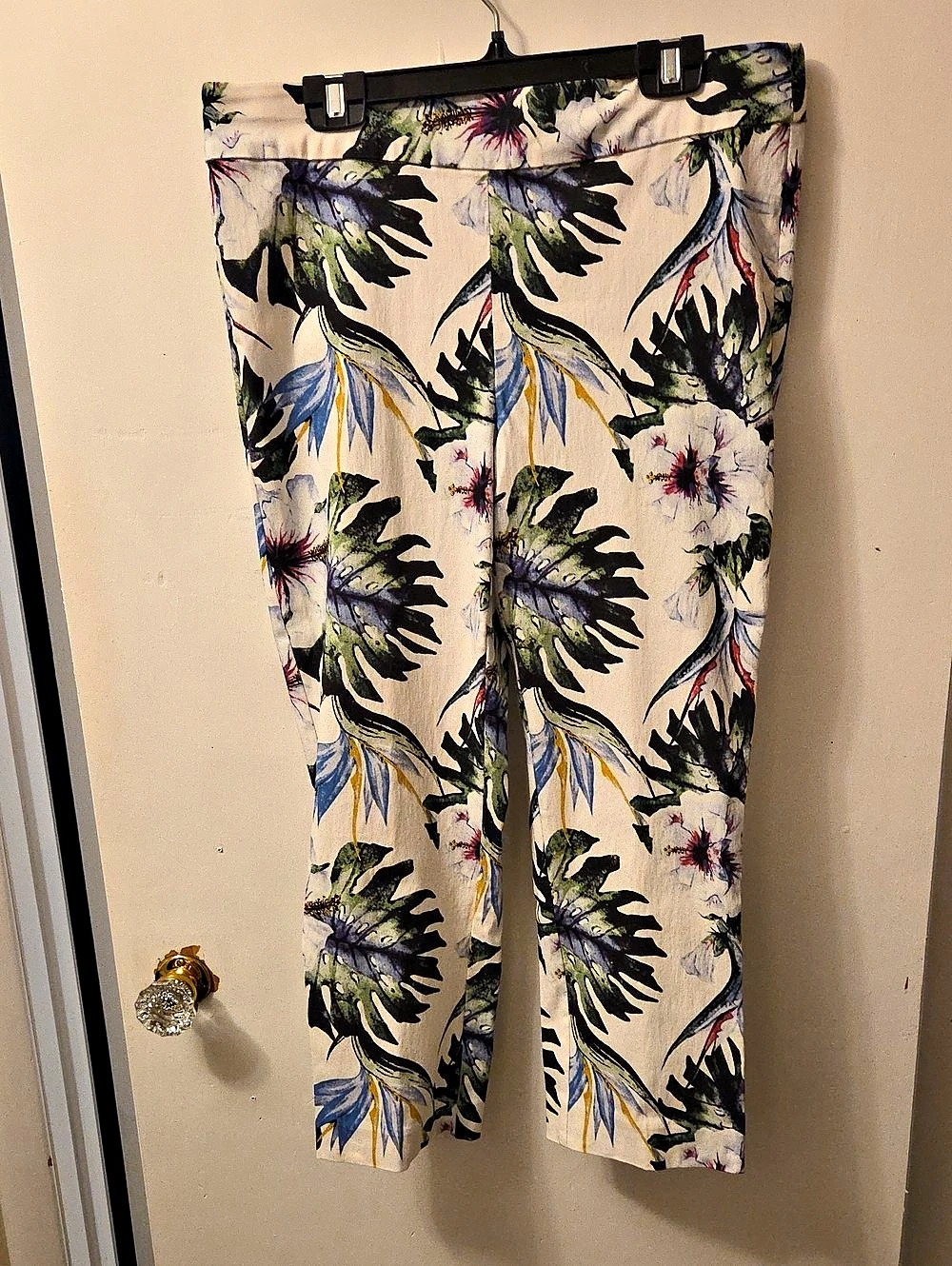 Melanie Lyne Floral Ankle Pants in White & Blue Size 10